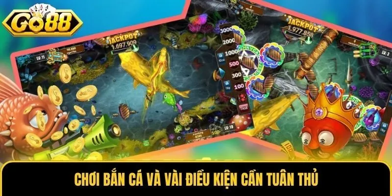 Chơi bắn cá và vài điều kiện cần tuân thủ