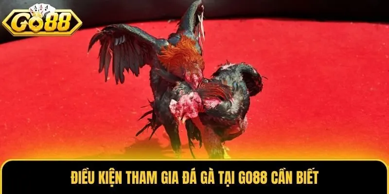 Điều kiện tham gia đá gà tại Go88 cần biết
